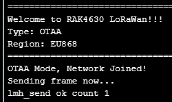 RAK activation console